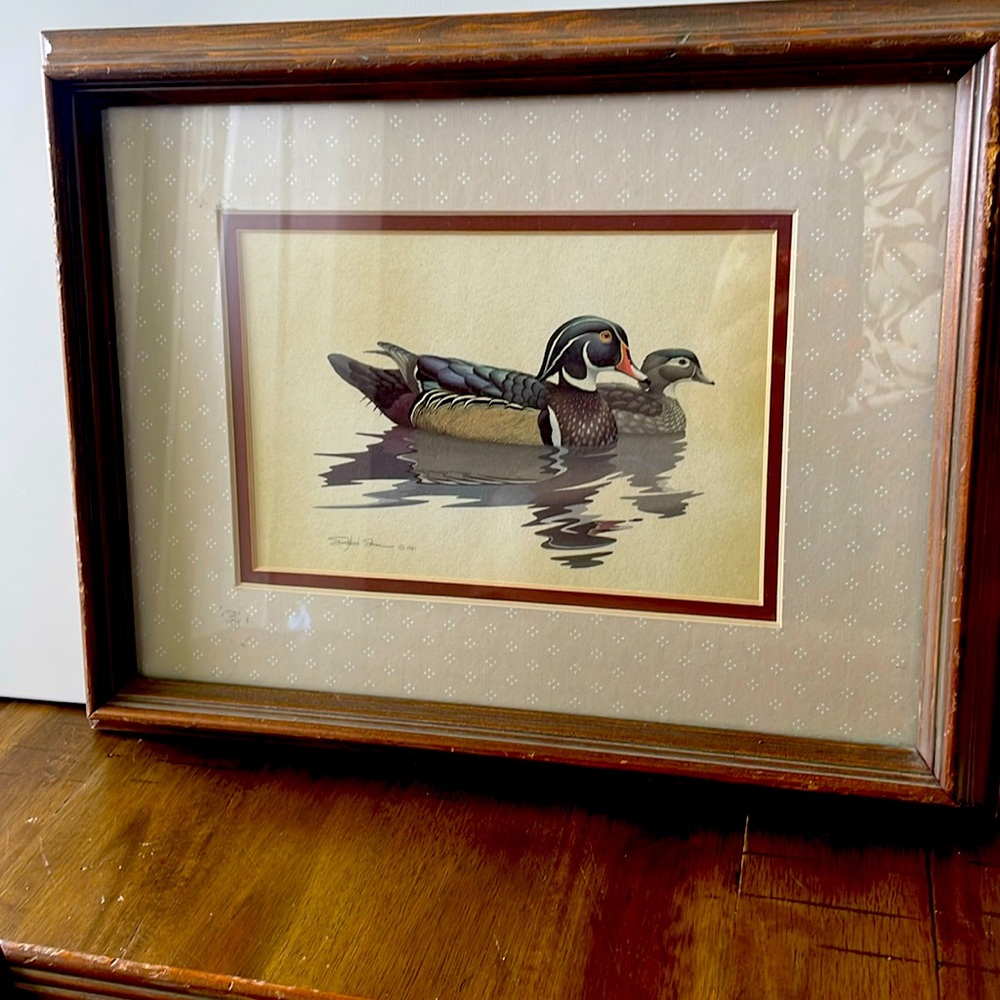 Richard Sloan Framed Duck Print Art.